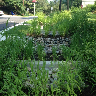 Stormwater ladder bioswale in Sligo Park Hills