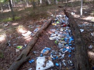 Litter covering the ground between two logs in Sligo Creek park.