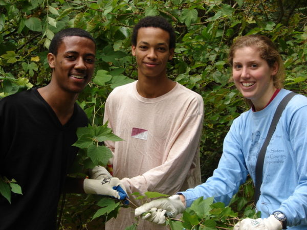 Students pulling invasive plants in Sligo