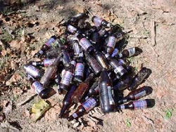 litter pile of bottles
