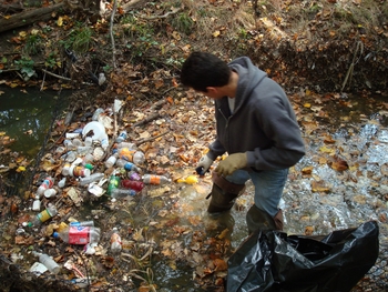 A multitude of plastic bottles in the creek mixed with the leaf litter