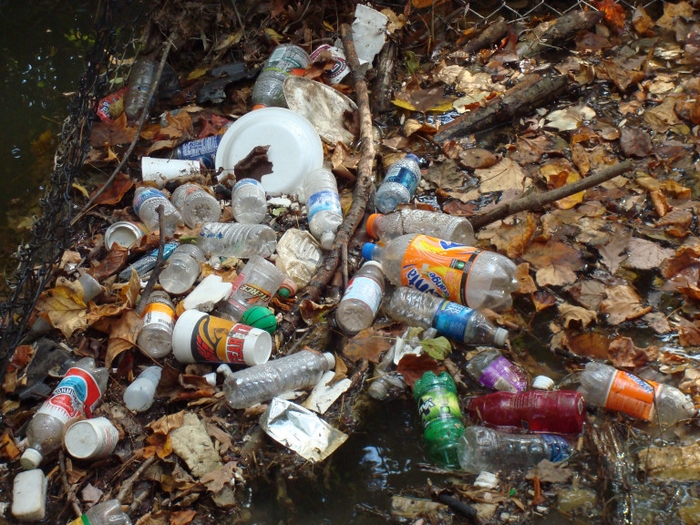 A multitude of plastic bottles in the creek mixed with the leaf litter