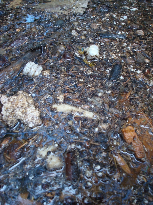 Mat of organic materials, polystyrene bits and cigarette butts.