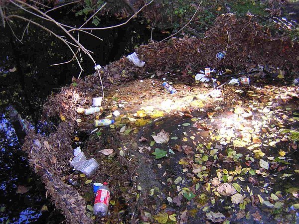 A photo of the trash screen taken Oct. 17, 2004. 