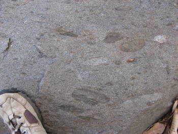 rocks4