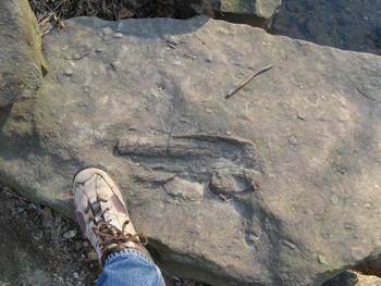 rocks5