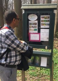 A park visitor looking at the FOSC kiosk display