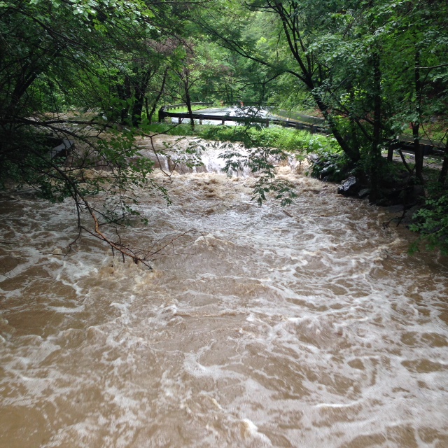 Sligo flood stage Maple Ave USGS site