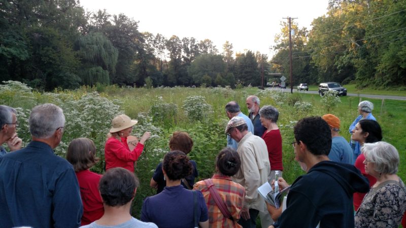  group led by Carole Bergmann viewing the meadow in bloom. 