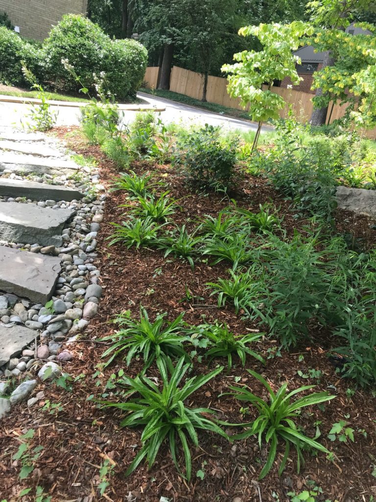 three oaks stormwater project gardens