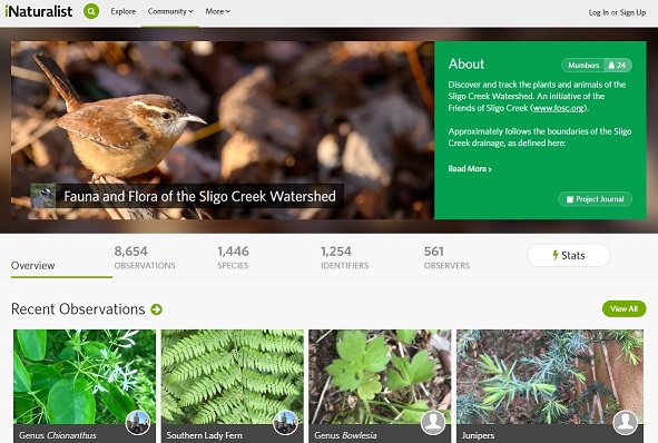 The main page of the Fauna and Flora of the Sligo Creek Watershed in iNaturalist.
