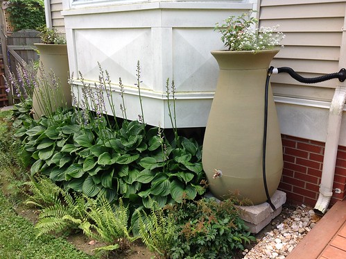 RainScapes Rain Barrel