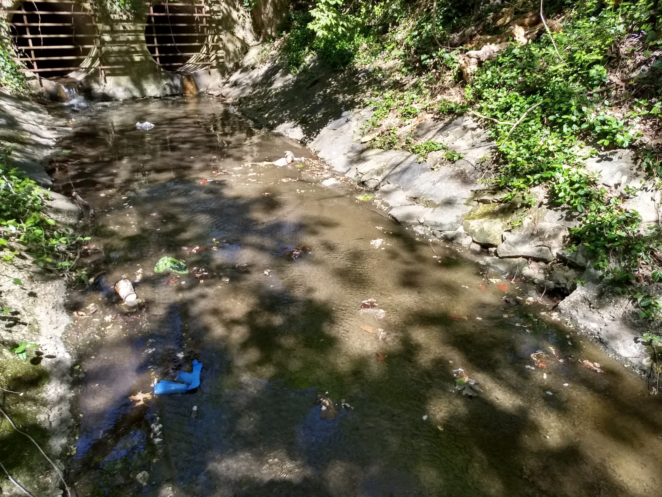 Bennington Drive water quality testing site with sometrash visible in the water.