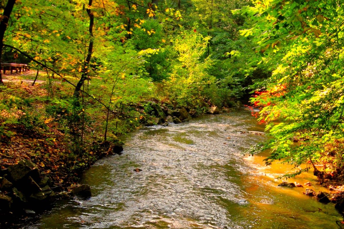 Is Sligo's Water Safe? Friends of Sligo Creek
