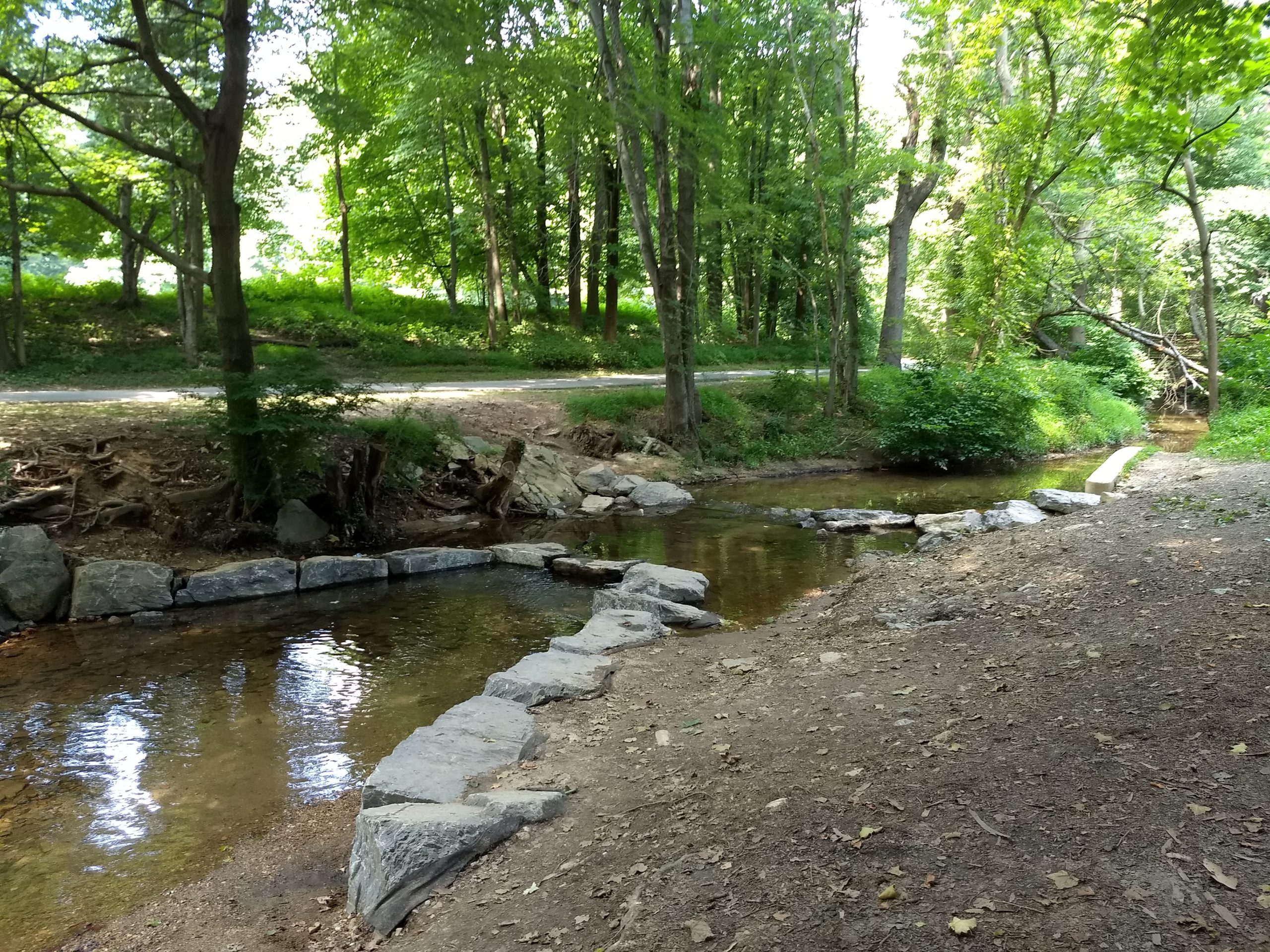 Dennis Avenue Testing Site