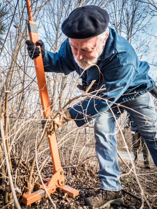 Weed Warrior Weekend MLK Service Day January 2018 A volunteer using a weed tool in Sligo