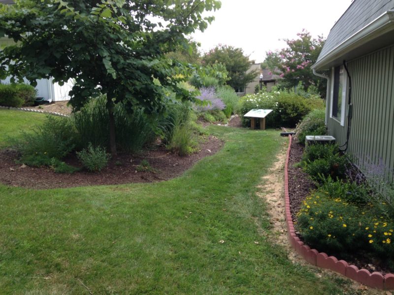 Leisure World Rain Gardens