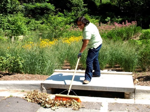 clearing stormwater drain