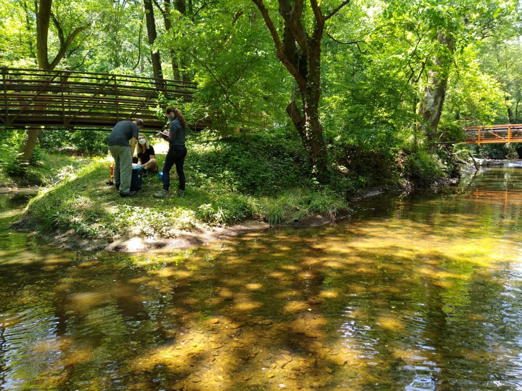 Three people at the edge of the creek at Dallas Avenue testing the water.