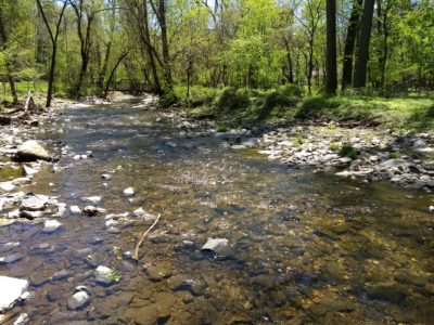 Fleetwood Terrace water quality testing site