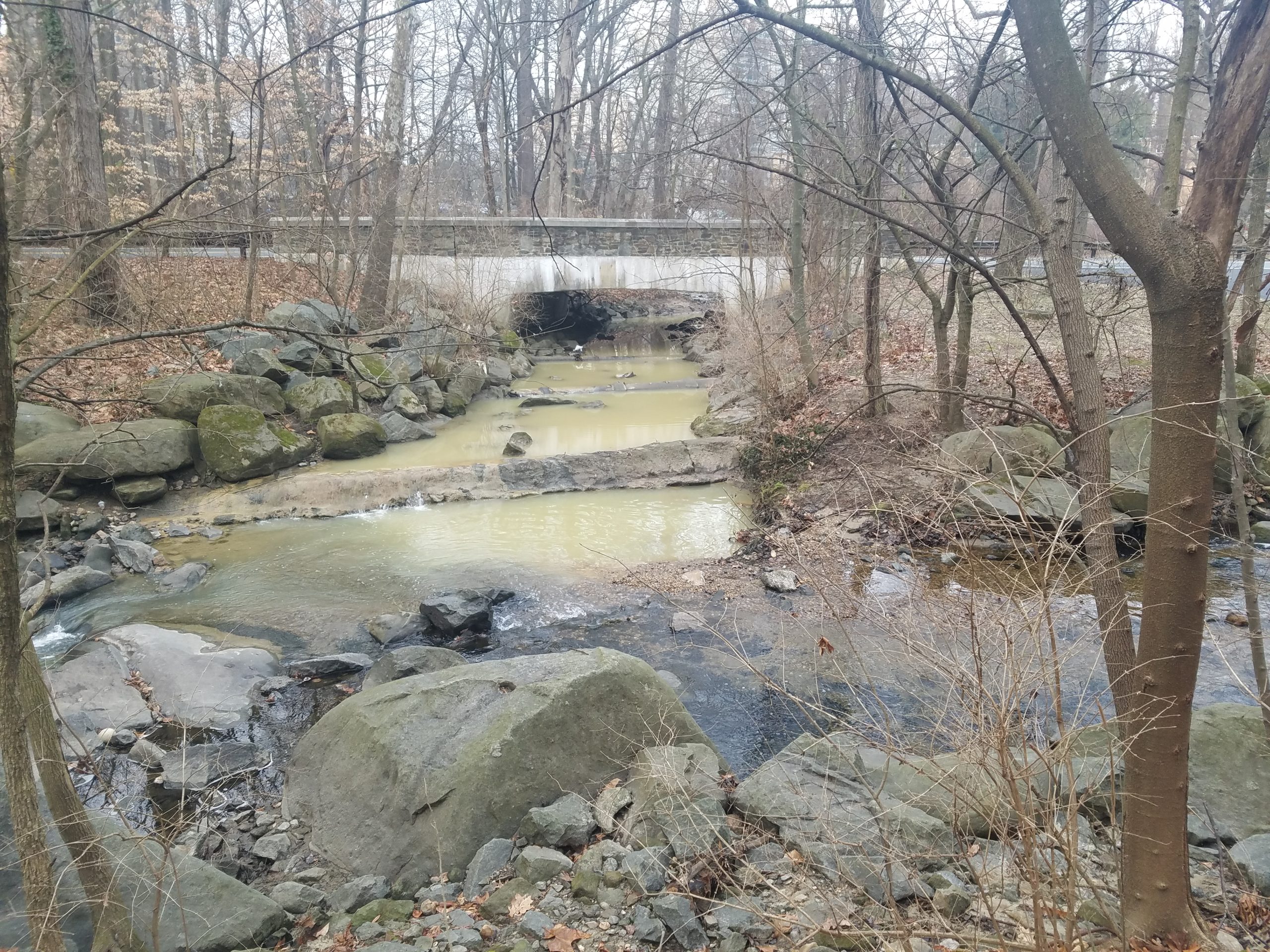 Sediment pollution flowing from Brashears Run into Sligo Creek, including two partially exposed sewer pipes