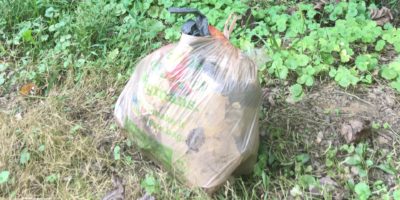A bag of trash collected beween Piney Branch and Wayne.