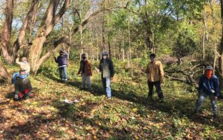 Weed Warriors tackling invasives in a section of Sligo Creek parkland.