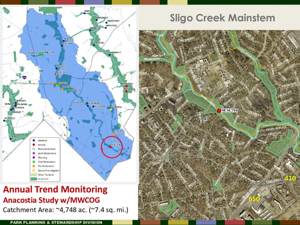 Sligo Creek Mainstem testing location SCSC314 of annual monitoring of fish species by Montgomery Conty Parks Dept