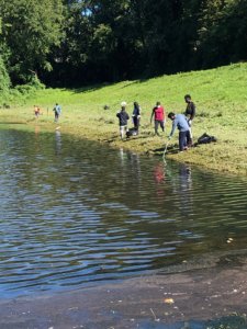 Sweeping at the water's edge