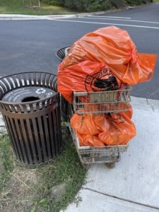 Trash removed near Glenside and Long Branch Section 10 Fall 2021 Sweep the Creek