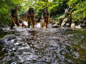 Parks Dept staff in high waders electrofishing with nets in Sligo Creek, August 31, 2021.
