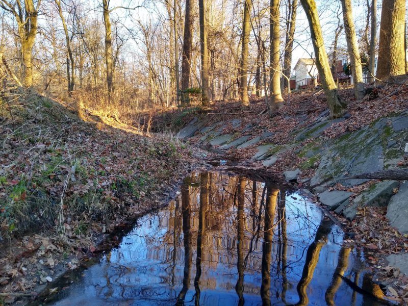 Blueridge Avenue testing site