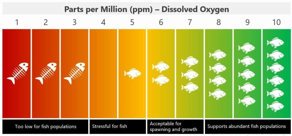 Fish viability at different oxygen levels.