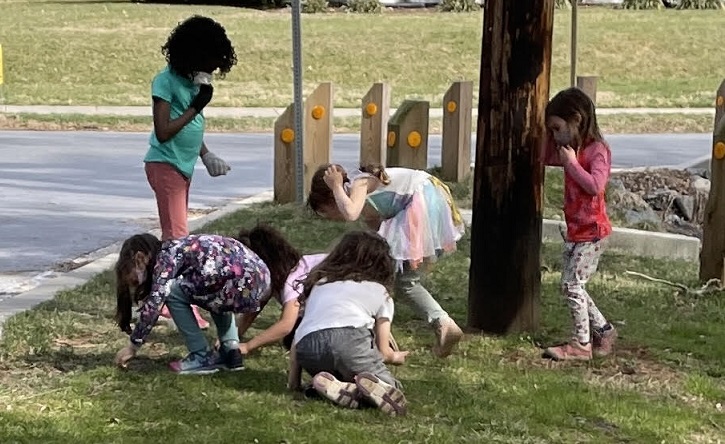 Acorn Hill students pick up excess salt near Sligo Creek