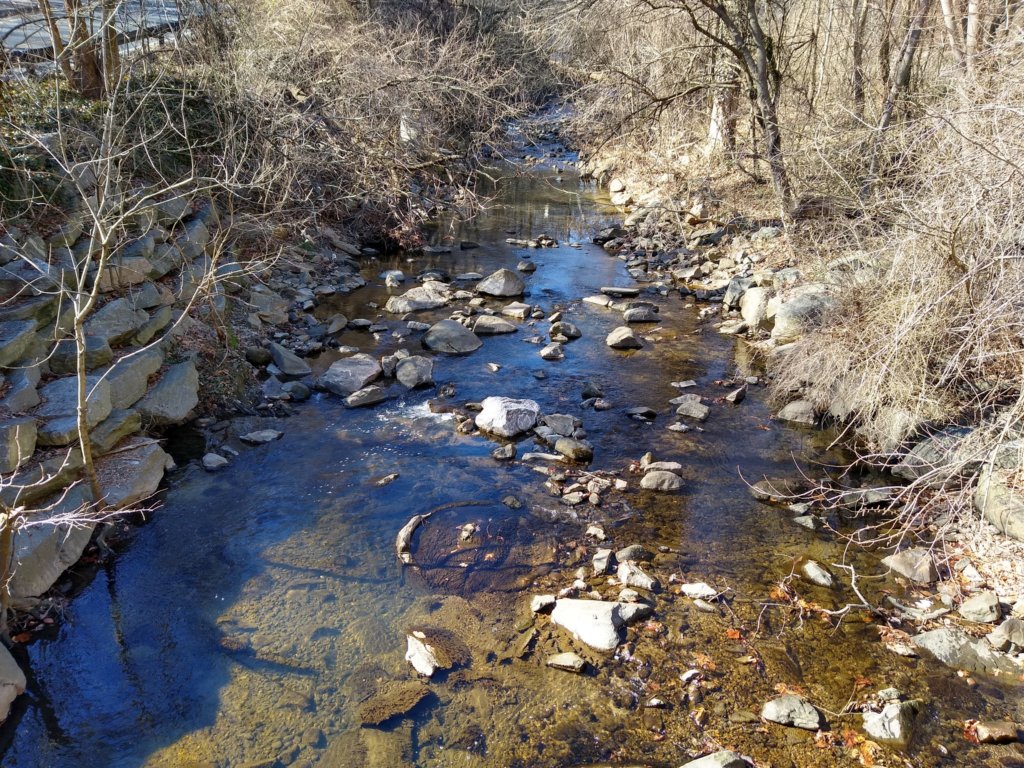 Sligo Creek Jackson Avenue testing site