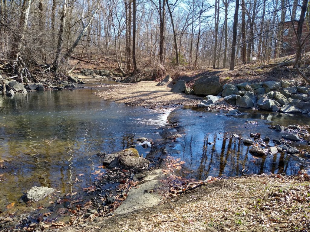 Sligo Creeak at 13th Ave testing site