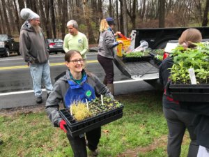 Weed Warrior program director Corinne Stephens pitching in.