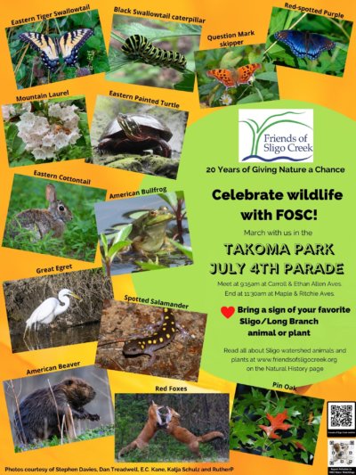 Poster in the kiosks, with photos of animals and plants, asking people to join the Takoma Park 4th of July parade with FOSC.