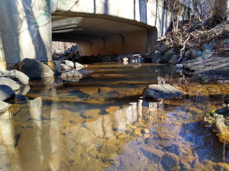 Brashears Run Upstream at Confluence 