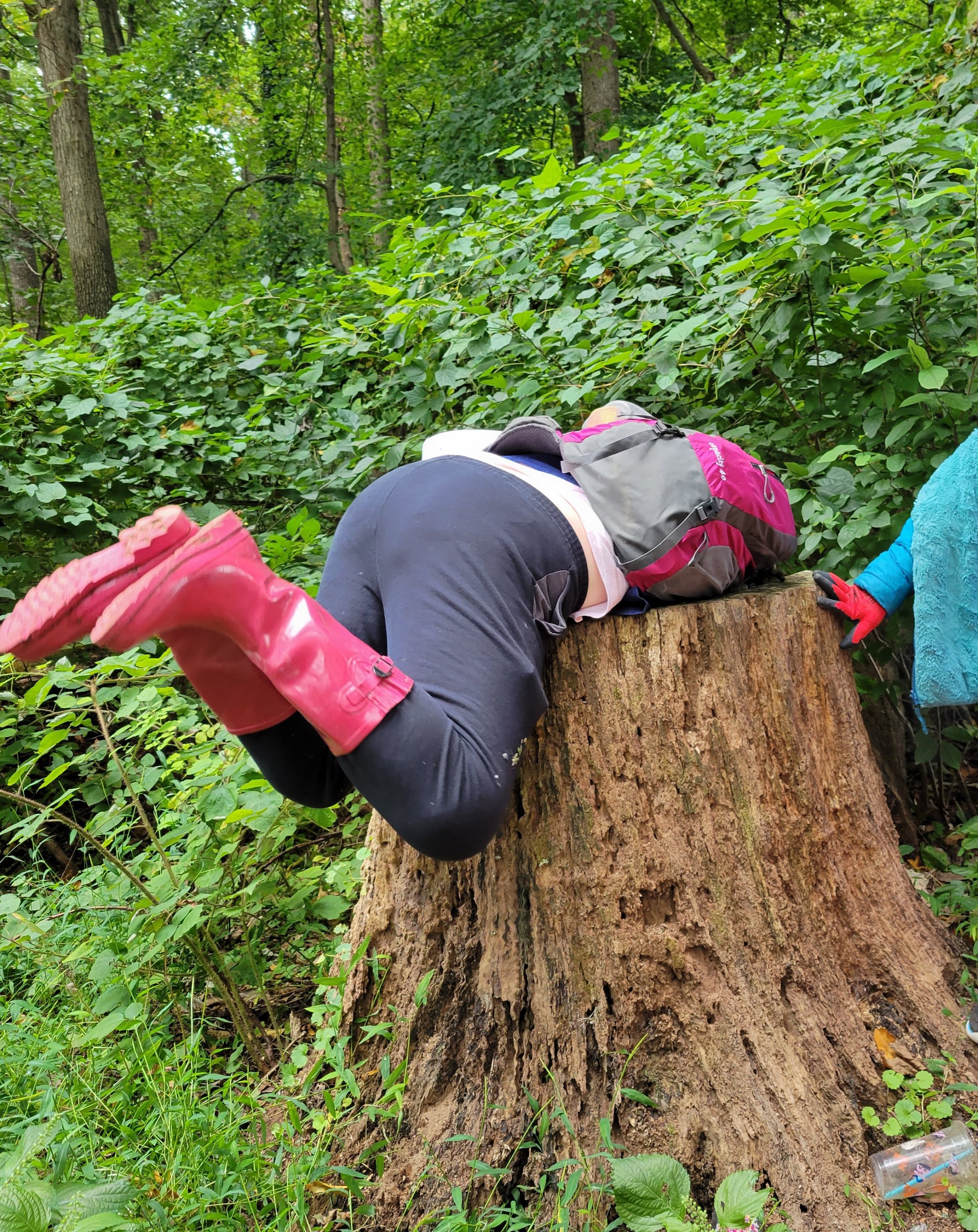 A sweeper balanced while removing trash from a tree stump