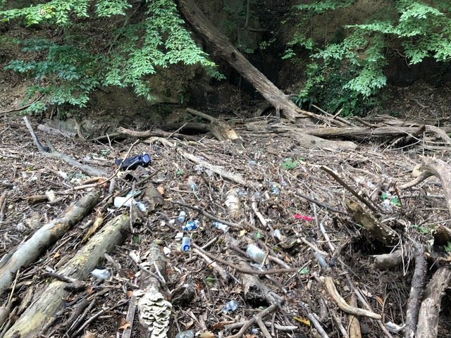 An assortment of plastic and glass trash in the creek edge in Section 1, Carole Highlands
