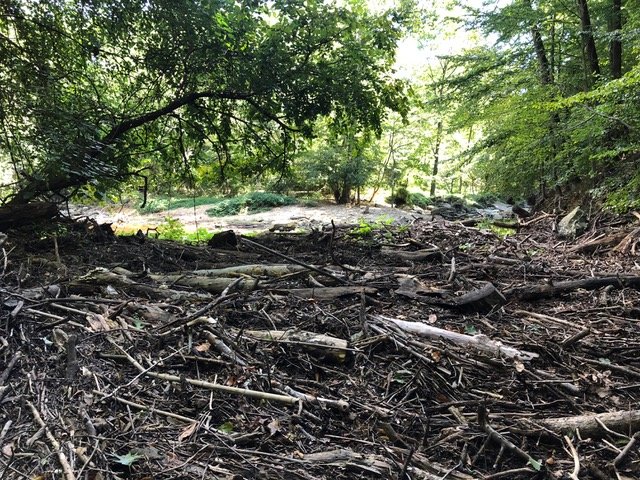 The clean creek bed at Carole Highlands after the Sweep