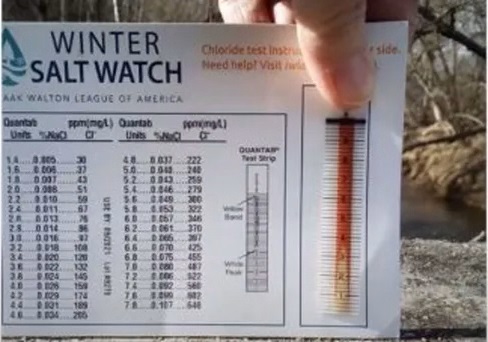 A Salt Watch test strip held alongside a testing card.