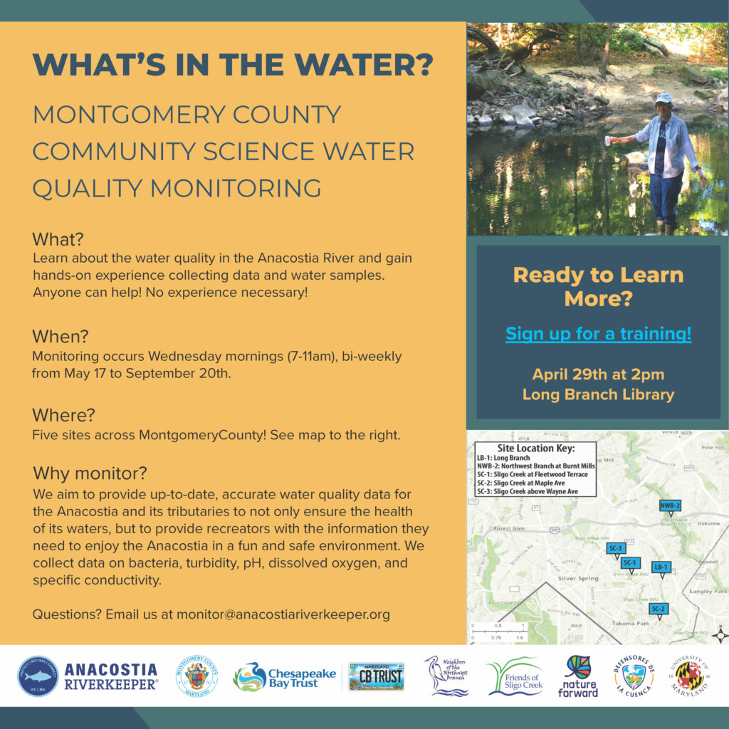 A description of the summer water quality program for Sligo and Long Branch creeks you can join this summer.