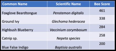 A table of the most-visited flowers by bumblebees, based on preliminary survey results from Spring 2022. 