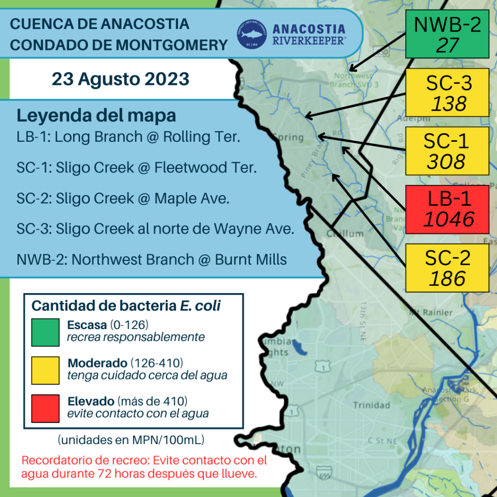 En Espanol - Water quality testing results for Aug 23 showing Sligo Creek sites at moderate levels of E. coli, and Long Branch at high levels of E. coli - over 1,500 units.