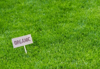 Organic Lawn Care A green lawn with a hand-lettered sign reading "Organic" stuck in it at a jaunty angle.