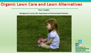 The title slide of the Organic Lawn Care slide deck by Mary Travaglini of the Dept. of Environmental Protection